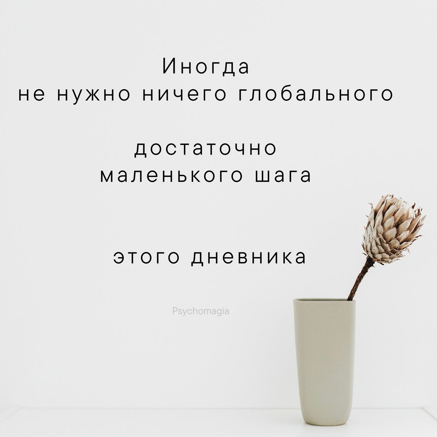 28 дней дневника беременности   "Без правильных чувств"